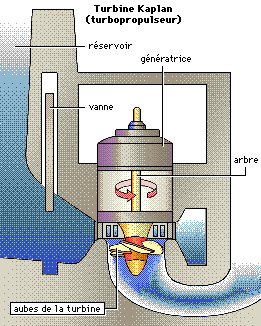 Energiedouce - Illustration d'une hydro-turbine électrique Kaplan