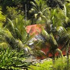 Energiedouce - Site isolé photovoltaïque Martinique 2 
